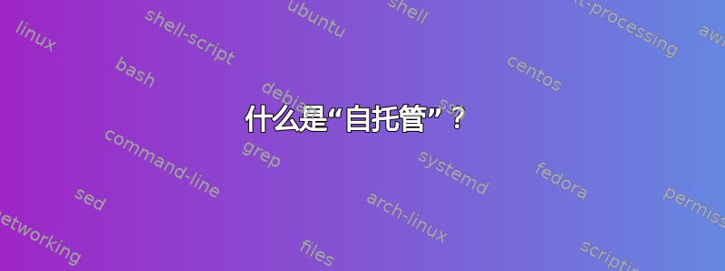 什么是“自托管”？