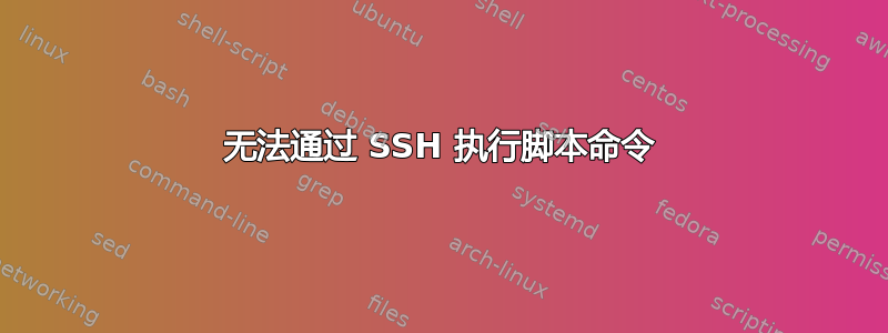 无法通过 SSH 执行脚本命令