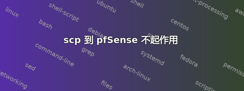 scp 到 pfSense 不起作用