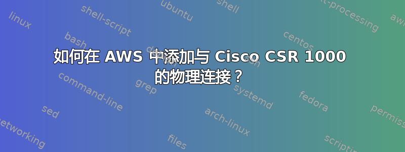 如何在 AWS 中添加与 Cisco CSR 1000 的物理连接？