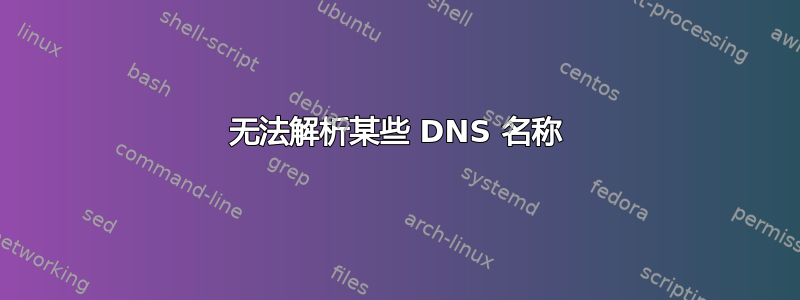 无法解析某些 DNS 名称