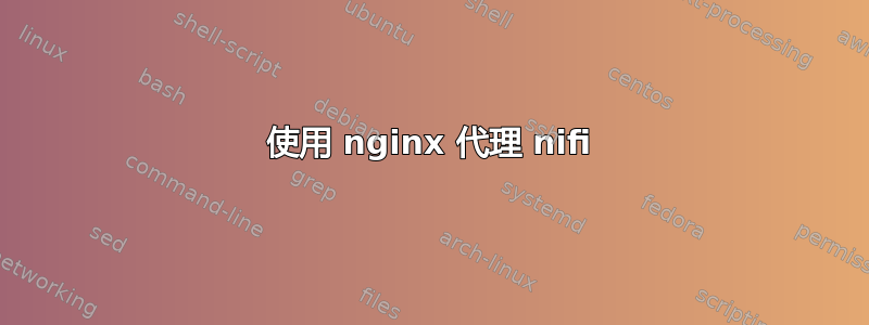 使用 nginx 代理 nifi