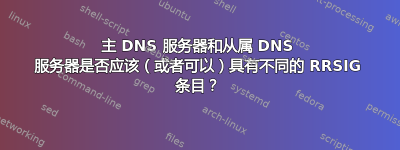 主 DNS 服务器和从属 DNS 服务器是否应该（或者可以）具有不同的 RRSIG 条目？