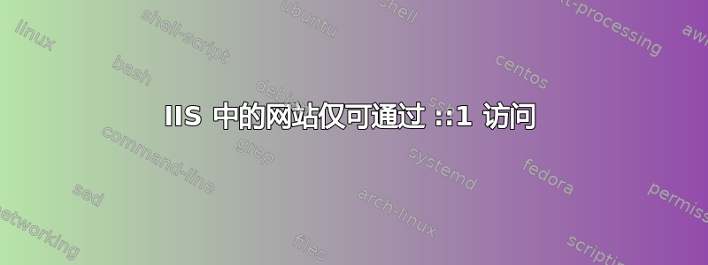 IIS 中的网站仅可通过 ::1 访问