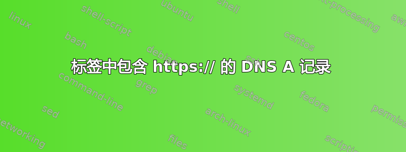 标签中包含 https:// 的 DNS A 记录