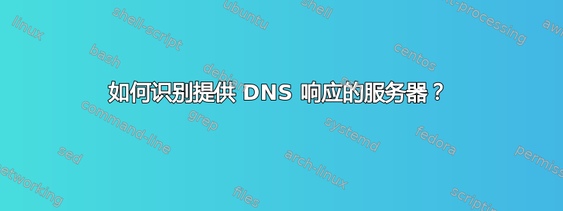 如何识别提供 DNS 响应的服务器？