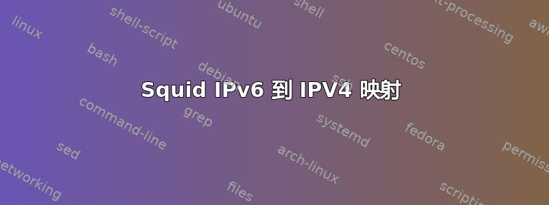 Squid IPv6 到 IPV4 映射