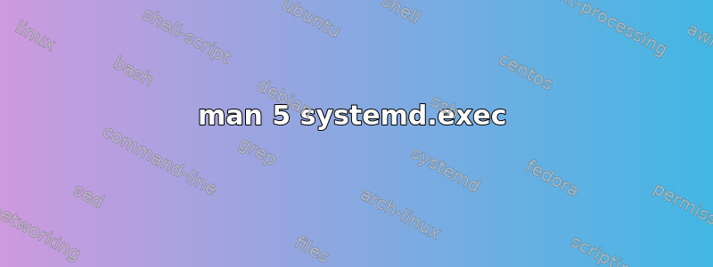 man 5 systemd.exec