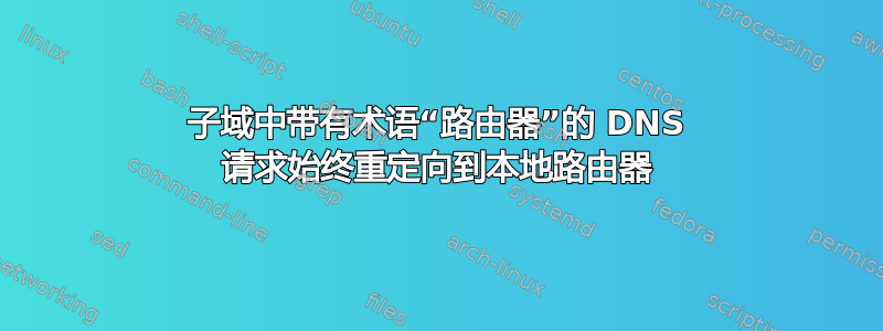 子域中带有术语“路由器”的 DNS 请求始终重定向到本地路由器