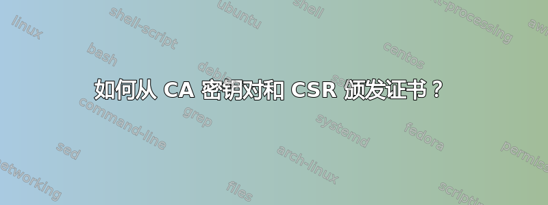 如何从 CA 密钥对和 CSR 颁发证书？