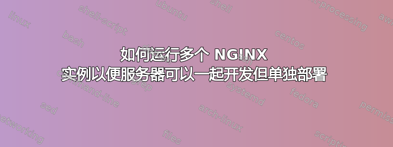 如何运行多个 NGINX 实例以便服务器可以一起开发但单独部署