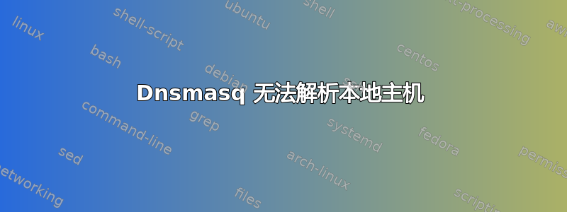 Dnsmasq 无法解析本地主机