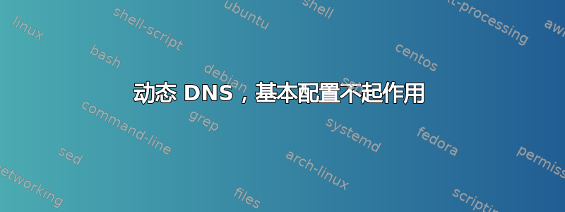 动态 DNS，基本配置不起作用