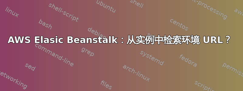 AWS Elasic Beanstalk：从实例中检索环境 URL？