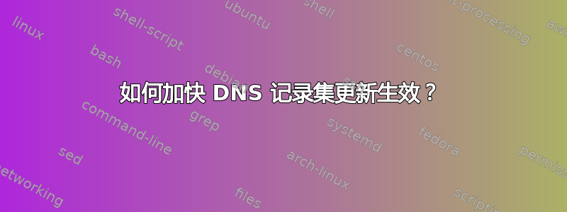 如何加快 DNS 记录集更新生效？