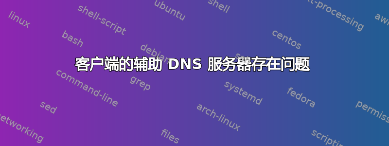 客户端的辅助 DNS 服务器存在问题