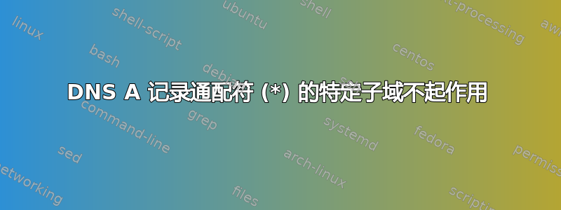 DNS A 记录通配符 (*) 的特定子域不起作用