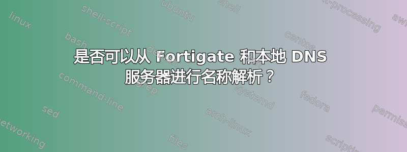 是否可以从 Fortigate 和本地 DNS 服务器进行名称解析？