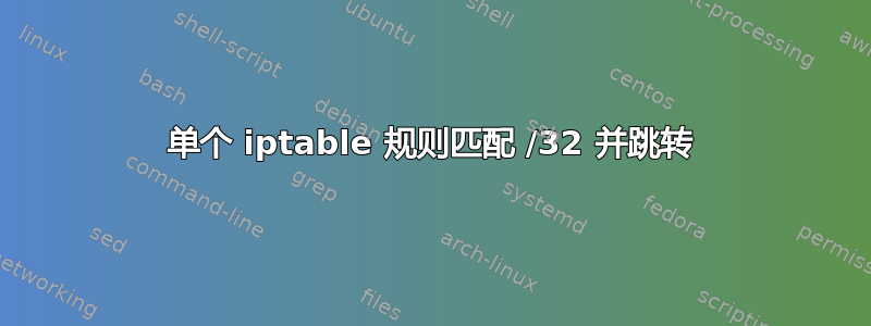 单个 iptable 规则匹配 /32 并跳转