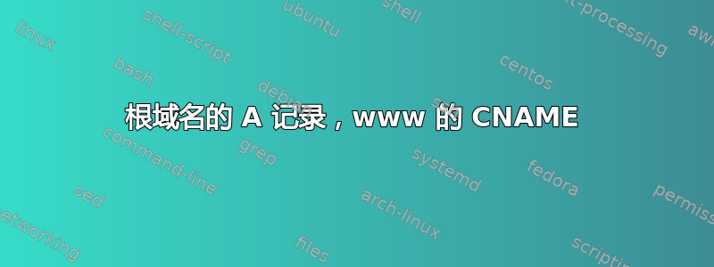 根域名的 A 记录，www 的 CNAME