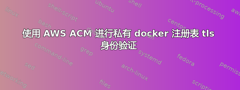 使用 AWS ACM 进行私有 docker 注册表 tls 身份验证