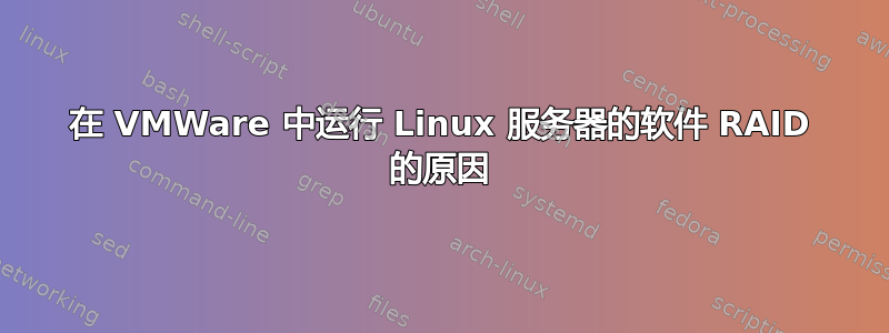 在 VMWare 中运行 Linux 服务器的软件 RAID 的原因