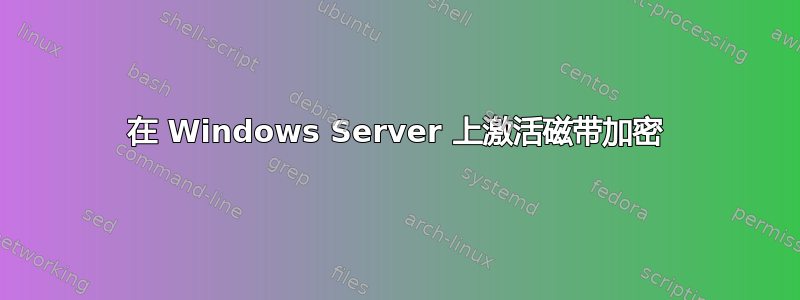 在 Windows Server 上激活磁带加密