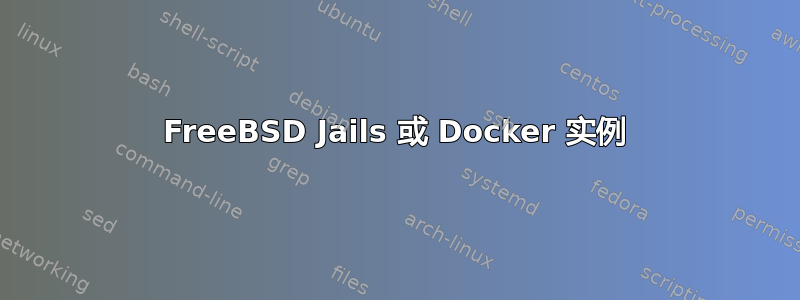 FreeBSD Jails 或 Docker 实例