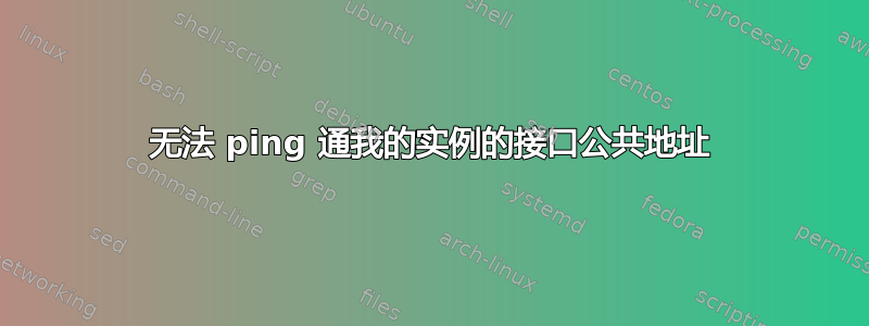 无法 ping 通我的实例的接口公共地址