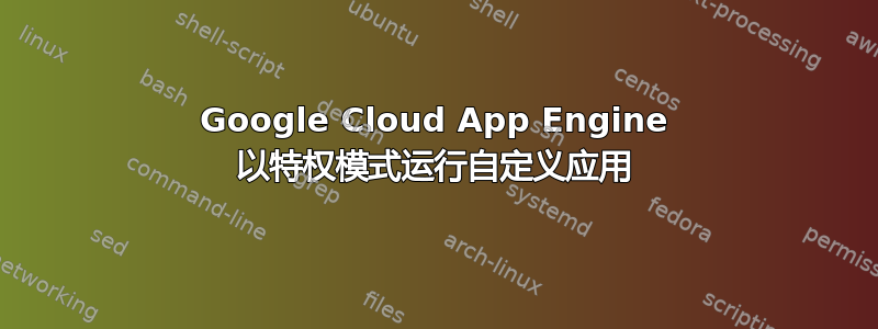 Google Cloud App Engine 以特权模式运行自定义应用