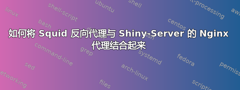 如何将 Squid 反向代理与 Shiny-Server 的 Nginx 代理结合起来