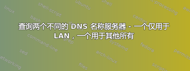 查询两个不同的 DNS 名称服务器 - 一个仅用于 LAN，一个用于其他所有