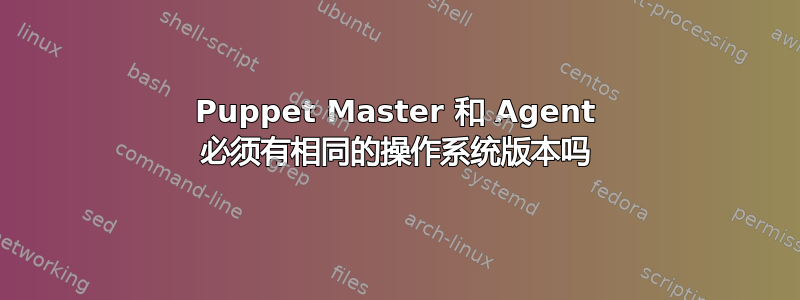 Puppet Master 和 Agent 必须有相同的操作系统版本吗