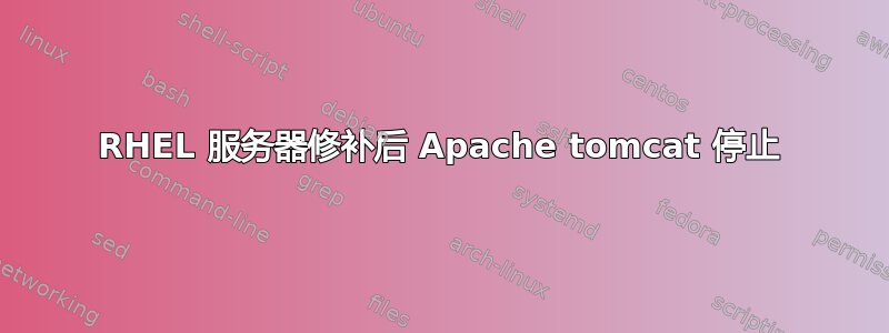 RHEL 服务器修补后 Apache tomcat 停止