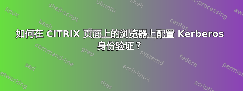 如何在 CITRIX 页面上的浏览器上配置 Kerberos 身份验证？