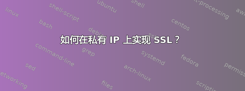 如何在私有 IP 上实现 SSL？