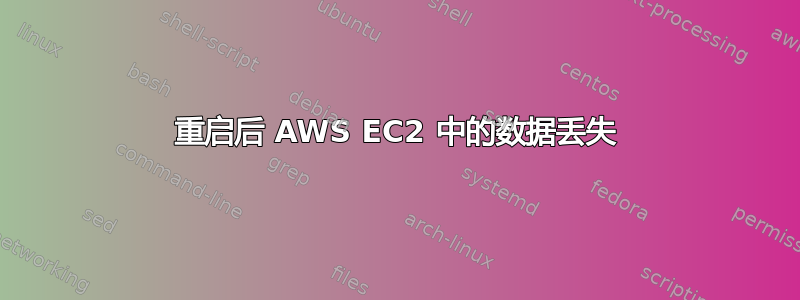 重启后 AWS EC2 中的数据丢失