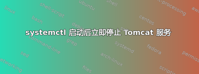 systemctl 启动后立即停止 Tomcat 服务