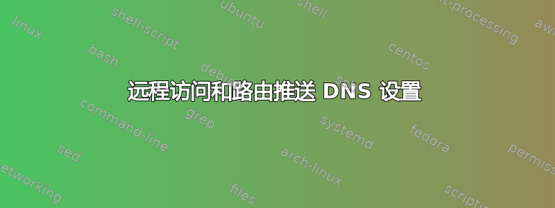 远程访问和路由推送 DNS 设置