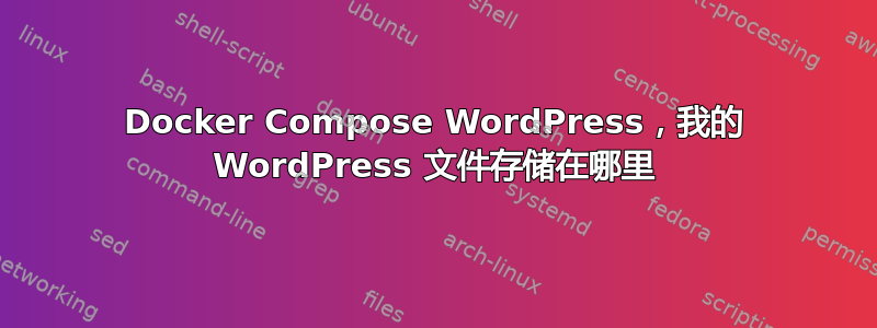 Docker Compose WordPress，我的 WordPress 文件存储在哪里