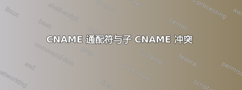 CNAME 通配符与子 CNAME 冲突