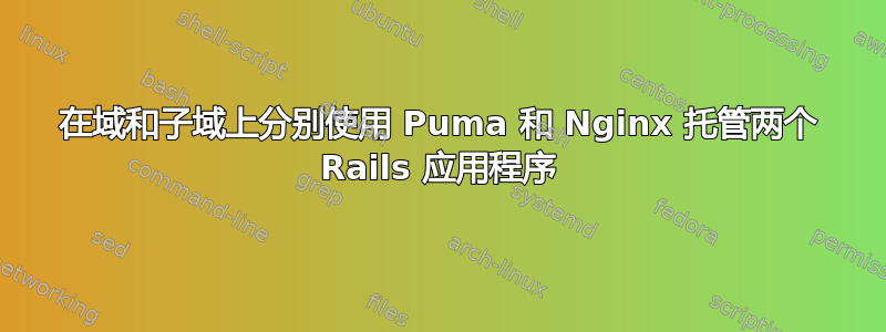 在域和子域上分别使用 Puma 和 Nginx 托管两个 Rails 应用程序