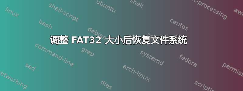 调整 FAT32 大小后恢复文件系统 