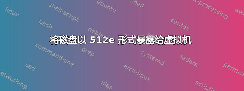 将磁盘以 512e 形式暴露给虚拟机