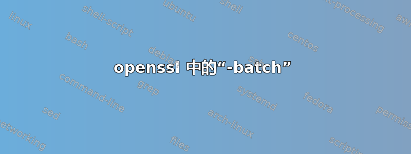 openssl 中的“-batch”