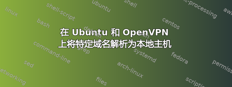 在 Ubuntu 和 OpenVPN 上将特定域名解析为本地主机