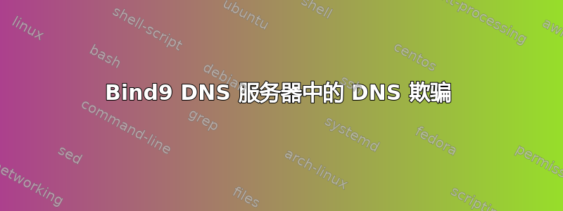 Bind9 DNS 服务器中的 DNS 欺骗