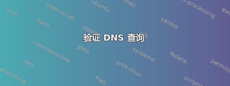 验证 DNS 查询