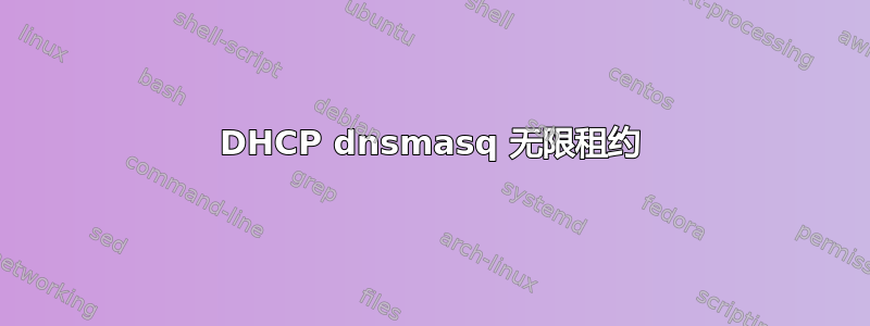 DHCP dnsmasq 无限租约