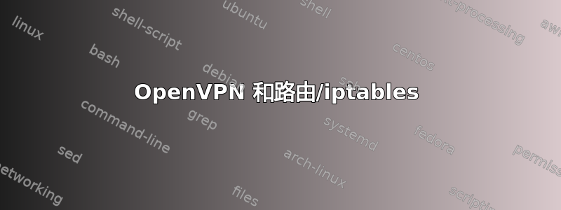 OpenVPN 和路由/iptables